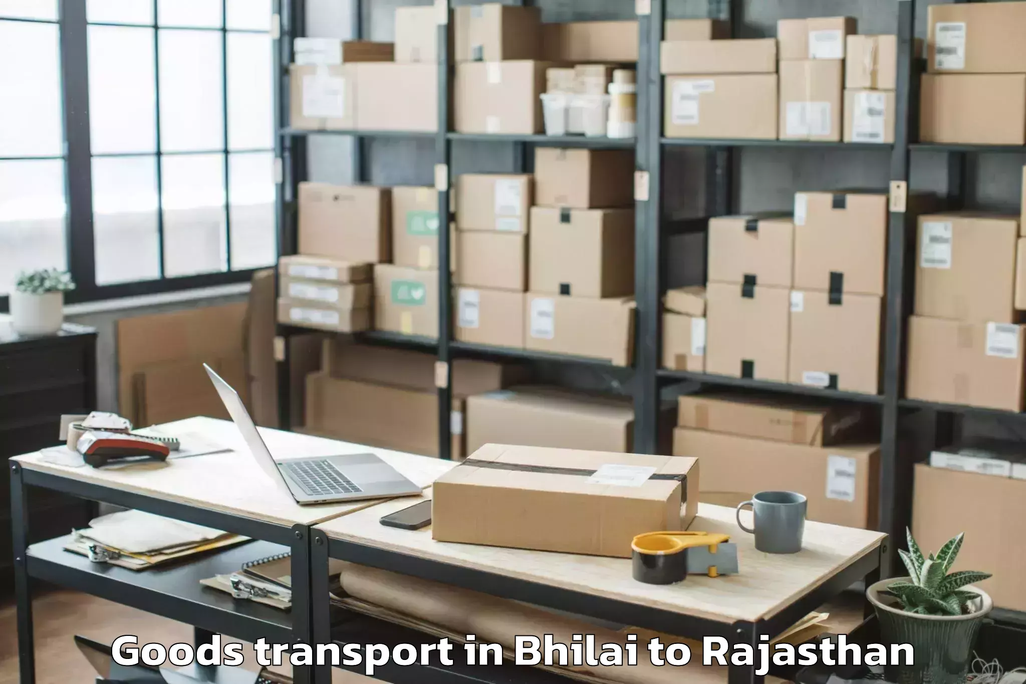 Professional Bhilai to Madhav University Pindwara Goods Transport